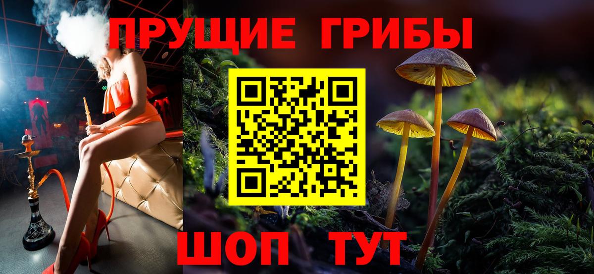 Псилоцибиновые грибы Psilocybe Белогорск