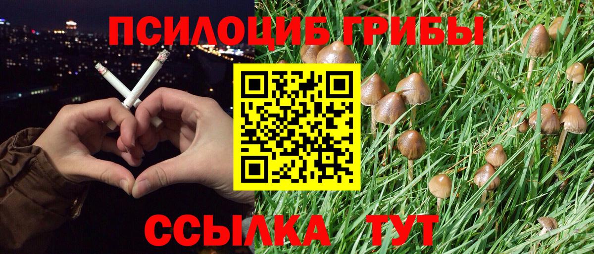 Белогорск  Псилоцибиновые грибы MAGIC MUSHROOMS  Галлюциногенные грибы прущие грибы  Вход с VPN 